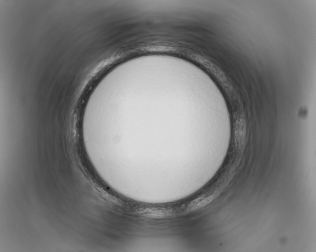 X0000116860727201002021105