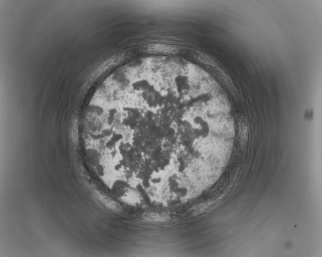 X0000116860729201002021106