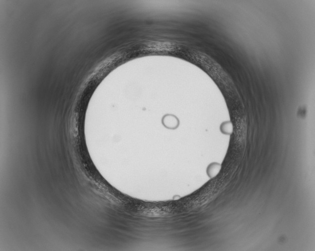 X0000116860731201002021106