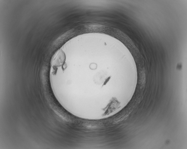 X0000116860733201002021106