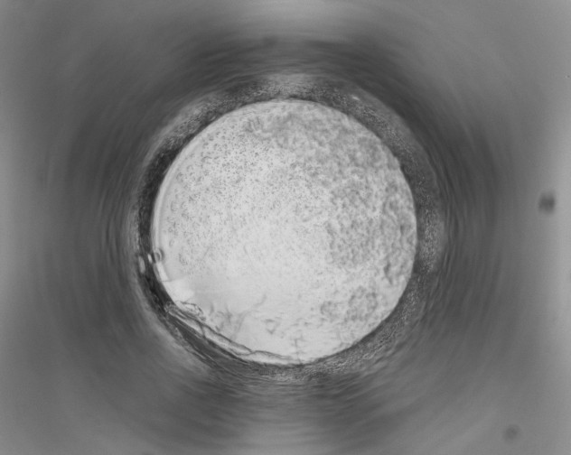 X0000116860734201002021106