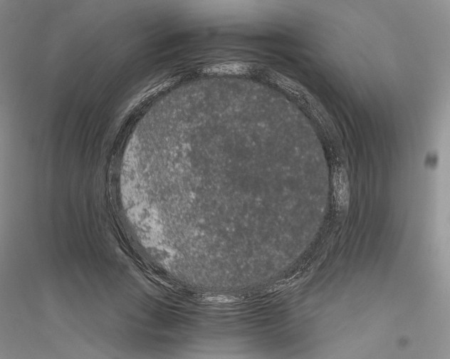 X0000116860735201002021106