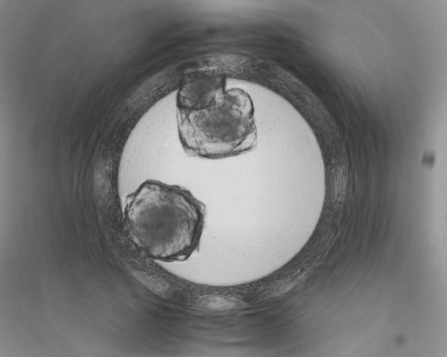 X0000116860737201002021106