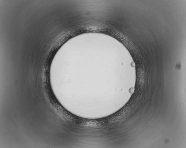 X0000116860738201002021106