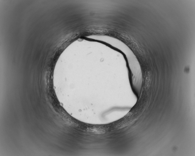 X0000116860739201002021106