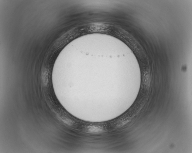 X0000116860741201002021106