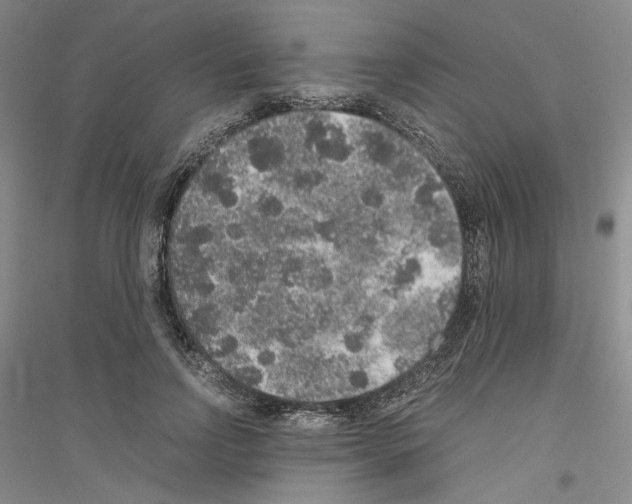 X0000116860742201002021106