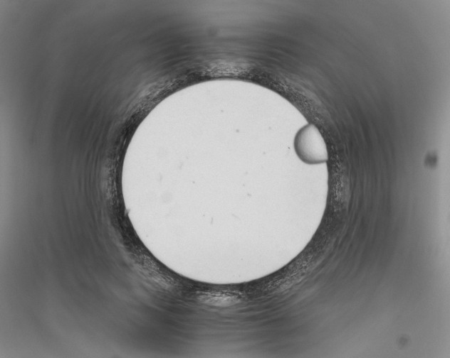 X0000116860743201002021106