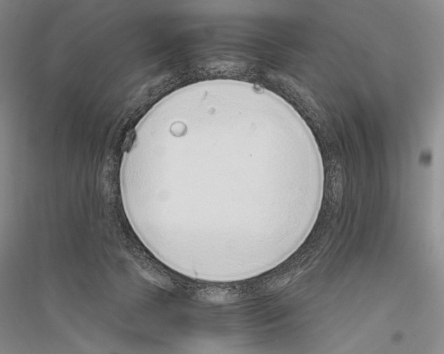 X0000116860745201002021106