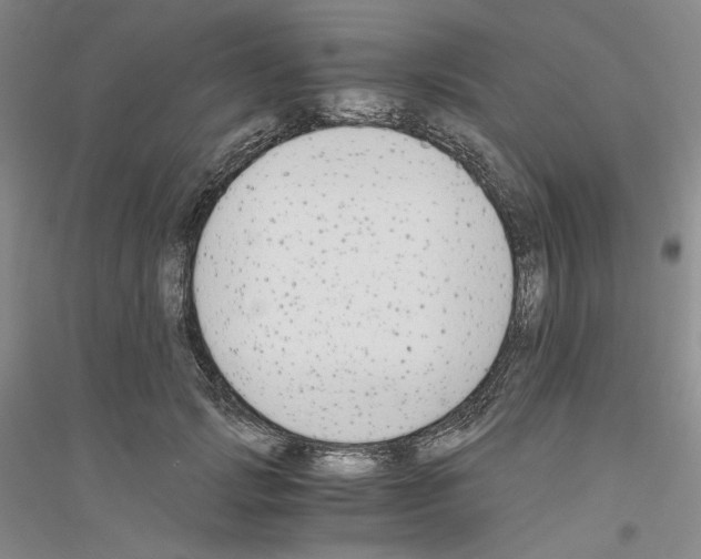 X0000116860749201002021106