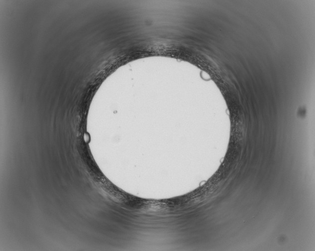 X0000116860750201002021106