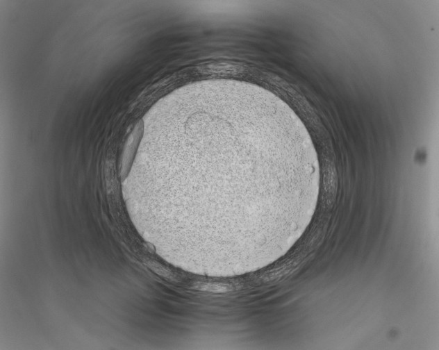 X0000116860751201002021106