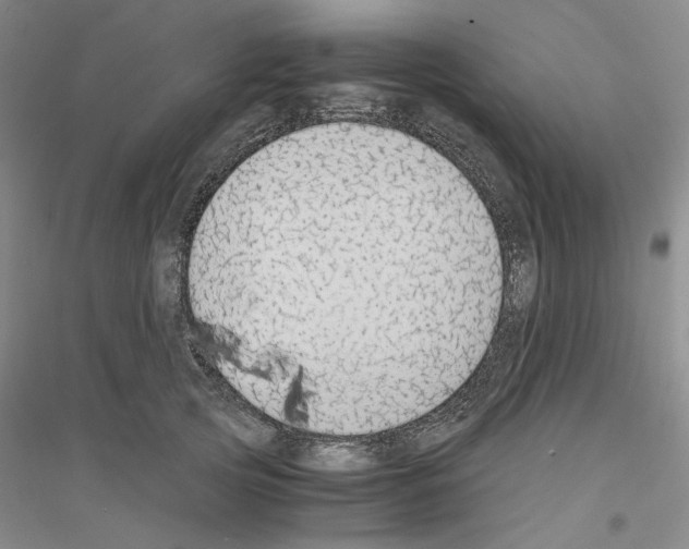 X0000116860753201002021106