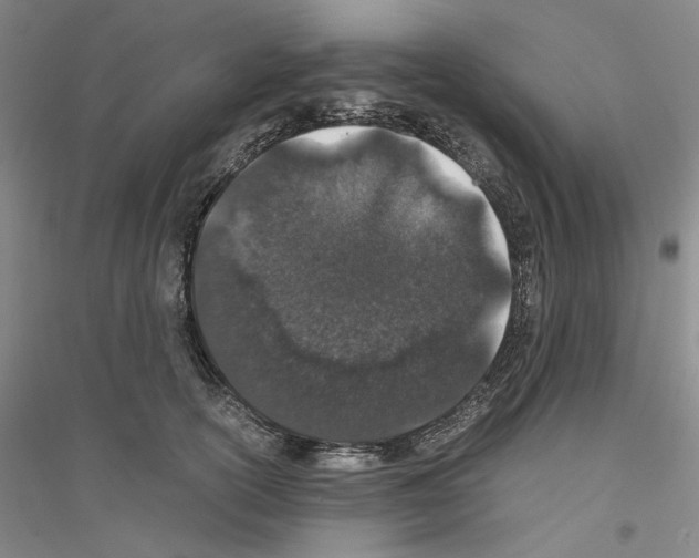 X0000116860754201002021106