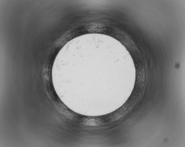 X0000116860755201002021106