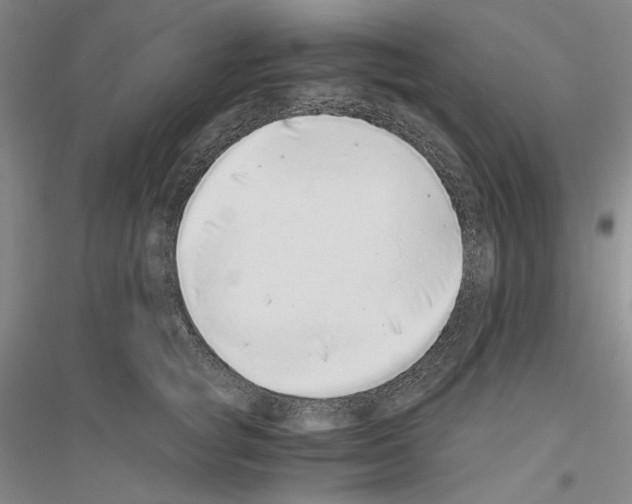 X0000116860757201002021106