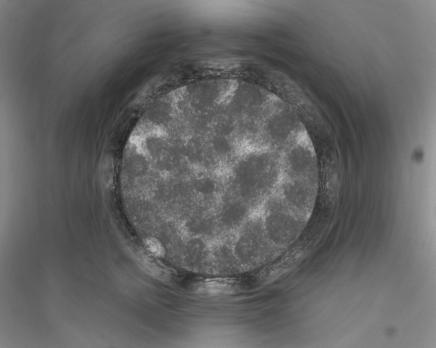 X0000116860758201002021106