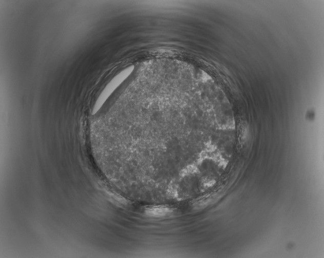 X0000116860759201002021106