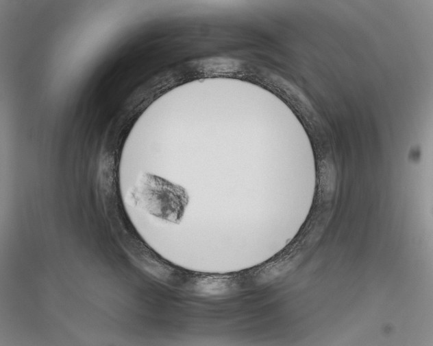 X0000116860761201002021106