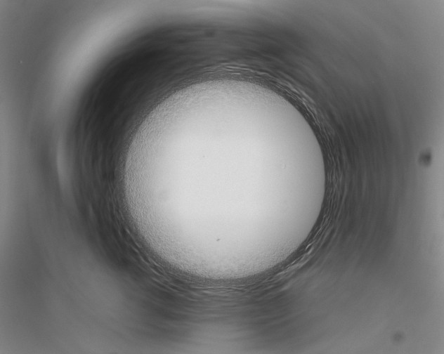 X0000116860762201002021106