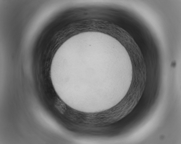 X0000116860766201002021106