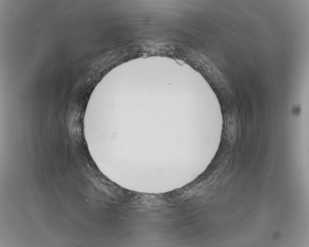 X0000116860770201002021105