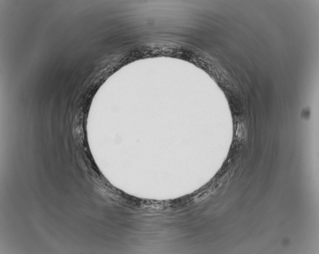 X0000116860771201002021105