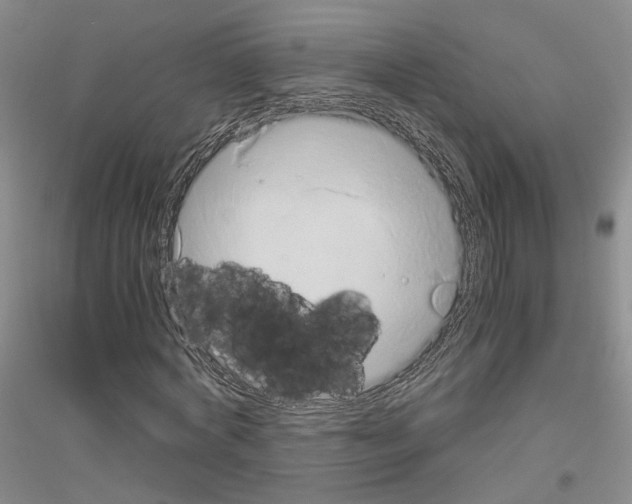 X0000116860772201002021105