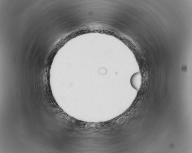 X0000116860776201002021105