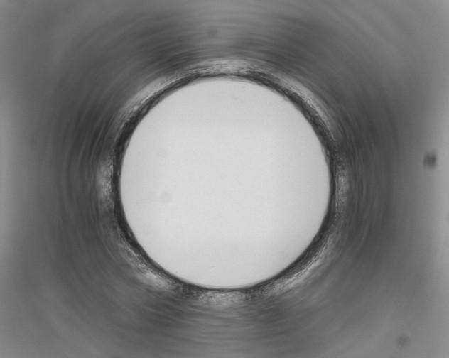 X0000116860778201002021105