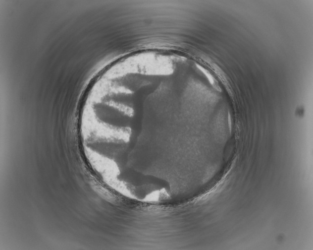 X0000116860779201002021105