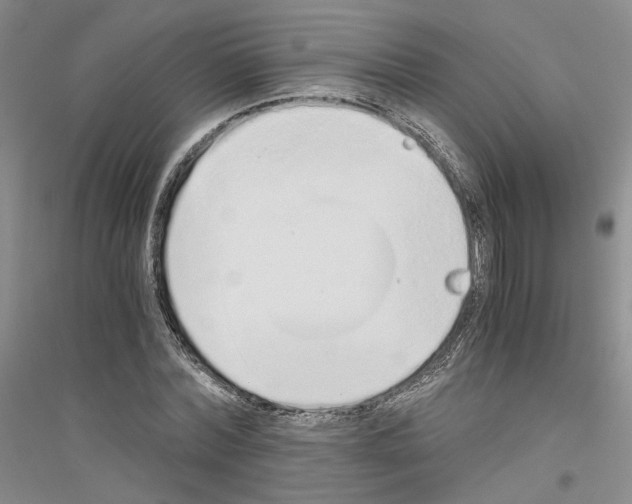 X0000116860780201002021105