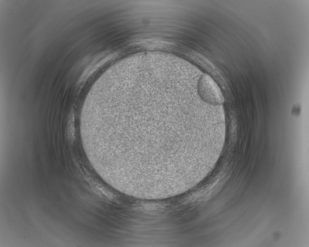 X0000116860782201002021105