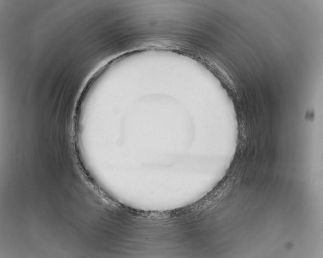 X0000116860784201002021105