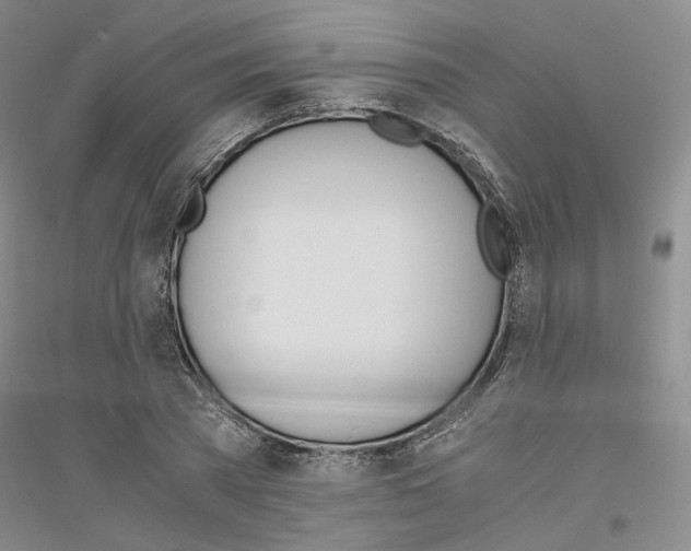 X0000116860785201002021105