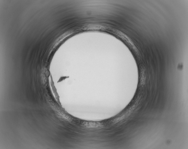 X0000116860786201002021105