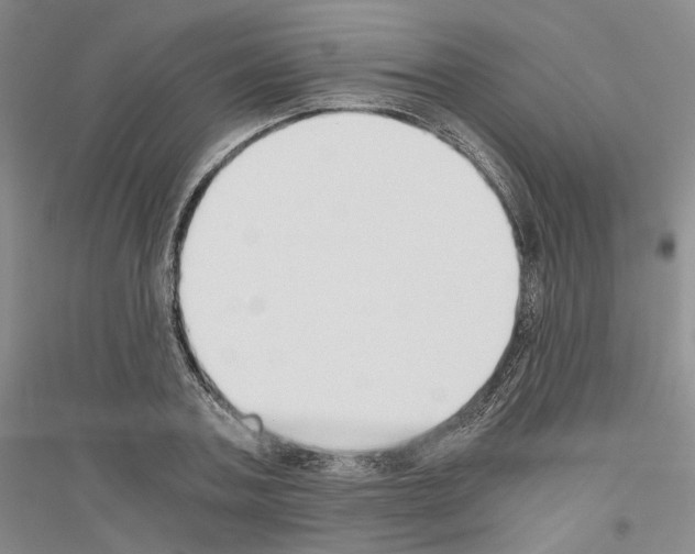 X0000116860787201002021105