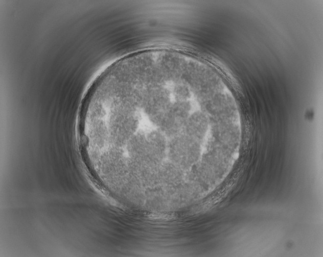 X0000116860788201002021105