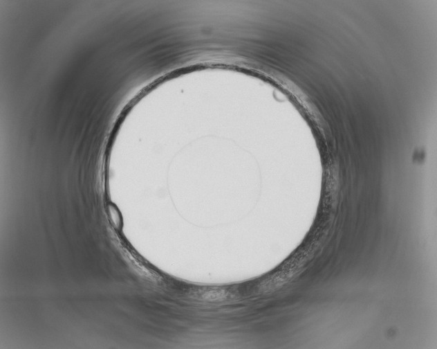 X0000116860791201002021105