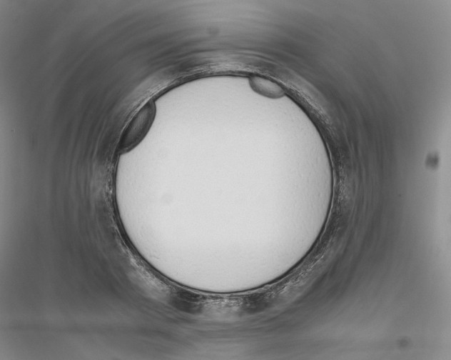 X0000116860793201002021105