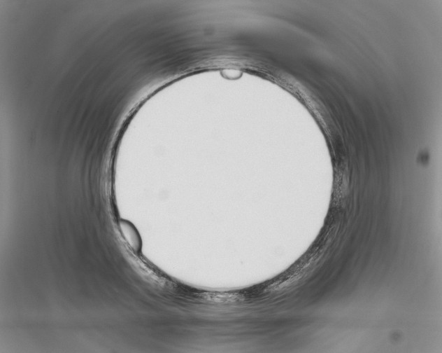 X0000116860795201002021105