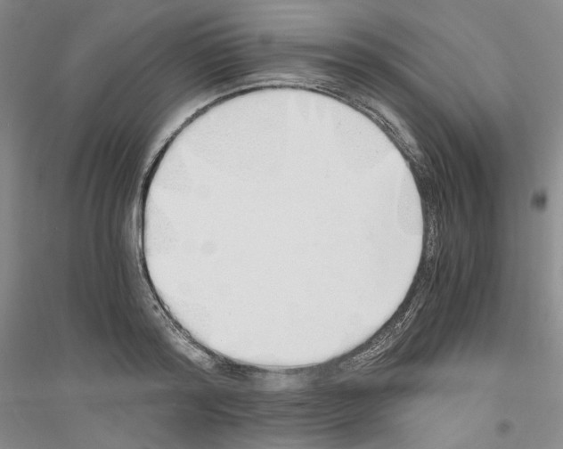 X0000116860796201002021105