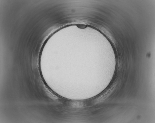 X0000116860797201002021105