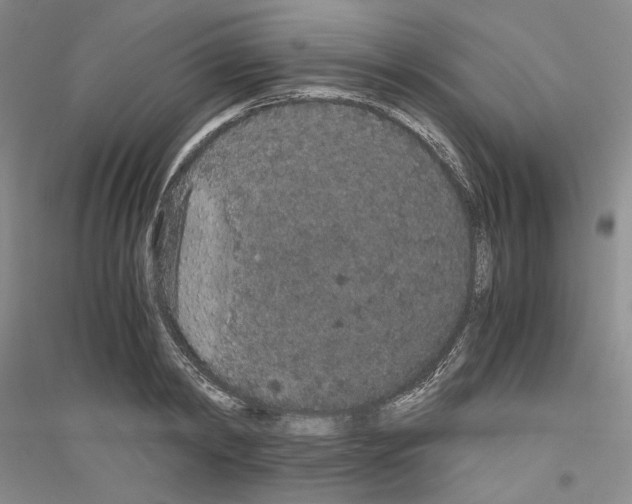 X0000116860798201002021105