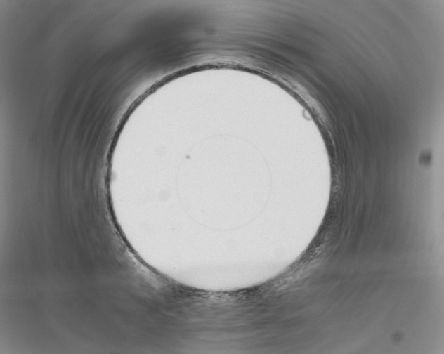 X0000116860799201002021105