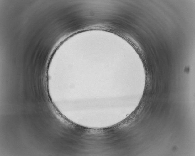 X0000116860800201002021105