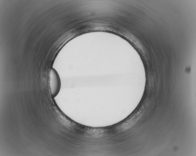 X0000116860801201002021105