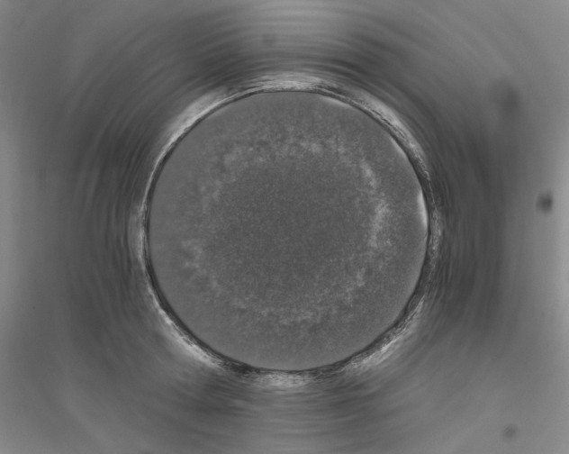 X0000116860802201002021105