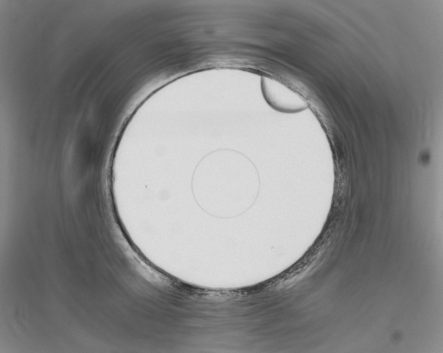 X0000116860803201002021105