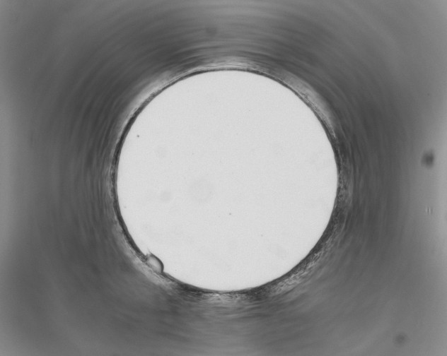 X0000116860805201002021105